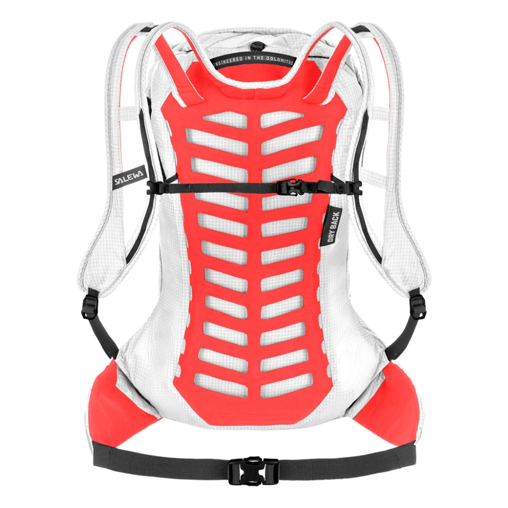 Dámský batoh Salewa PEDROC PRO 20L BACKPACK W White