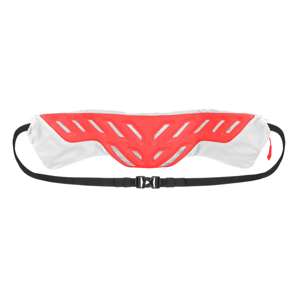 Ledvinka Salewa PEDROC HIPBELT White