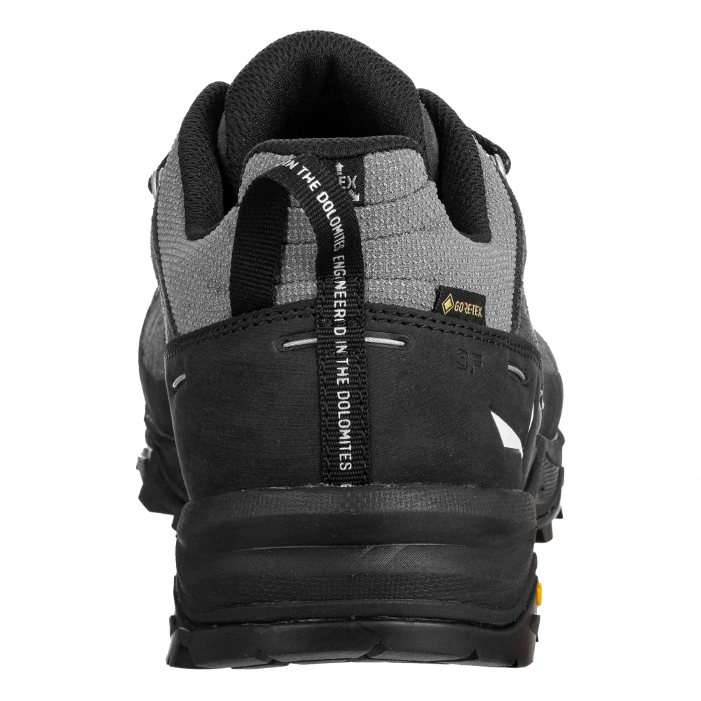 Boty Salewa ALP TRAINER 2 GTX M pánské onyx black